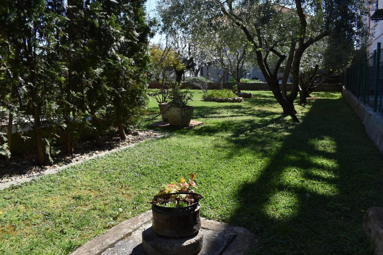 Apartman Dodo Zadar Zewnętrze zdjęcie